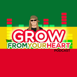 [THROWBACK] Grow From Your Heart | Lighting & Automating Your Garden