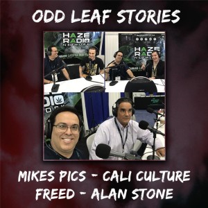 Odd Leaf Stories | CWCBE LA | Mikes Pics - Cali Culture - FREED - Alan Stone