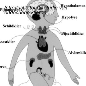 Introductie tot de studie van endocriene klieren