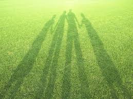 Spirituele Ecologie