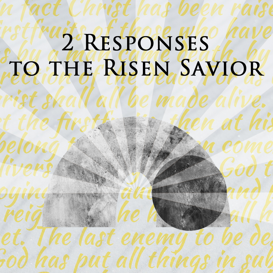 2 Responses to the Risen Christ - Resurrection Sunday - 4/1/2018