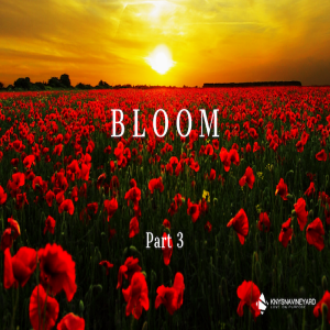 BLOOM (Part 3)