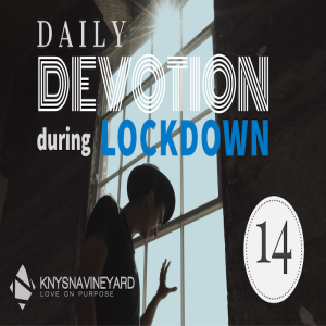Daily Devotion 14 - Pastor Steve Olivier