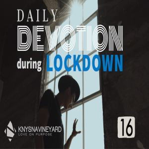 Daily Devotion 16 - Alfred Rademan