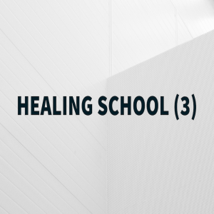 Healing School 3 - Pastor Steve Olivier