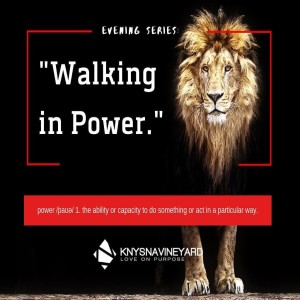 Walking in Power (week 5) - Alfred Rademan