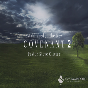 Established in The New Covenant 2 - Pastor Steve Olivier