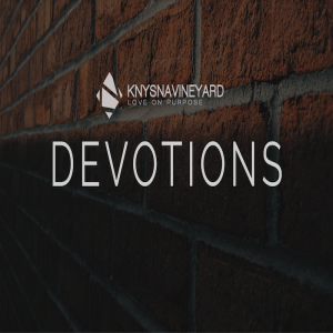 Daily Devotion - Pastor Jano de Klerk  