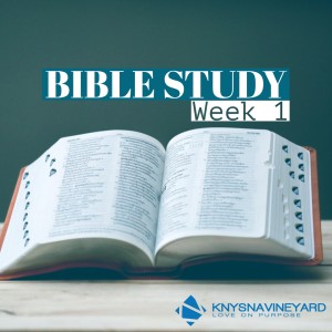 Bible Study (Week 1) - Pastor Jano de Klerk