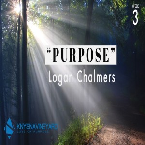 "Purpose" (Week 3) - Logan Chalmers