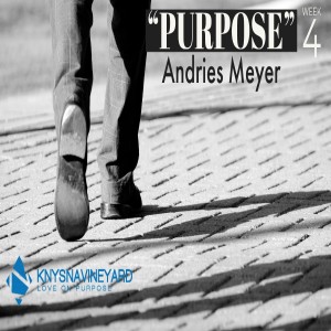 "Purpose" (Week 4) - Andries Meyer