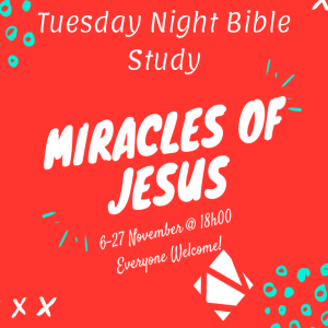 Miracles of Jesus 4 (Tuesday Night Bible Study) - Waldo de Kock