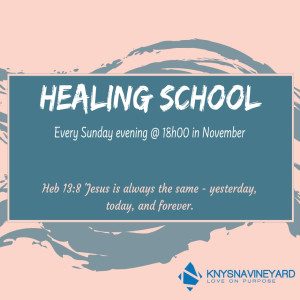 Healing School 5 - Jano de Klerk