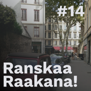 Ranskaa raakana! #14 - Toisten keskustelijoiden loukkaaminen Sarkozyn vastaisella Facebook-palstalla