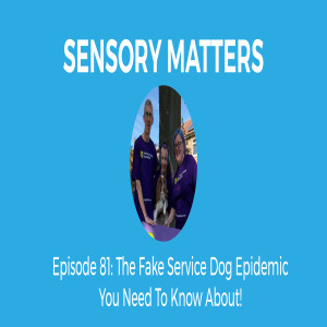 The Fake Service Dog Epidemic You Need To Know About!