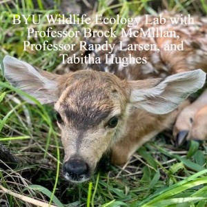 S4 E7 - BYU Wildlife Ecology Lab with Professor Brock McMillan, Professor Randy Larsen, and Tabitha Hughes