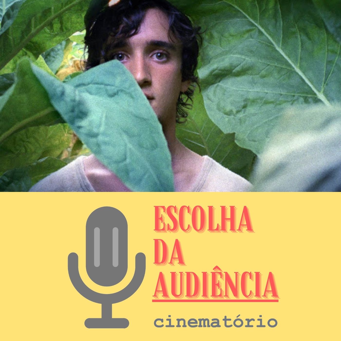 Cinematório