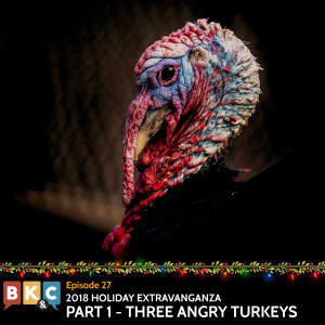 Episode 27 - 2018 Holiday Extravaganza Part 1 - Three Angry Turkeys