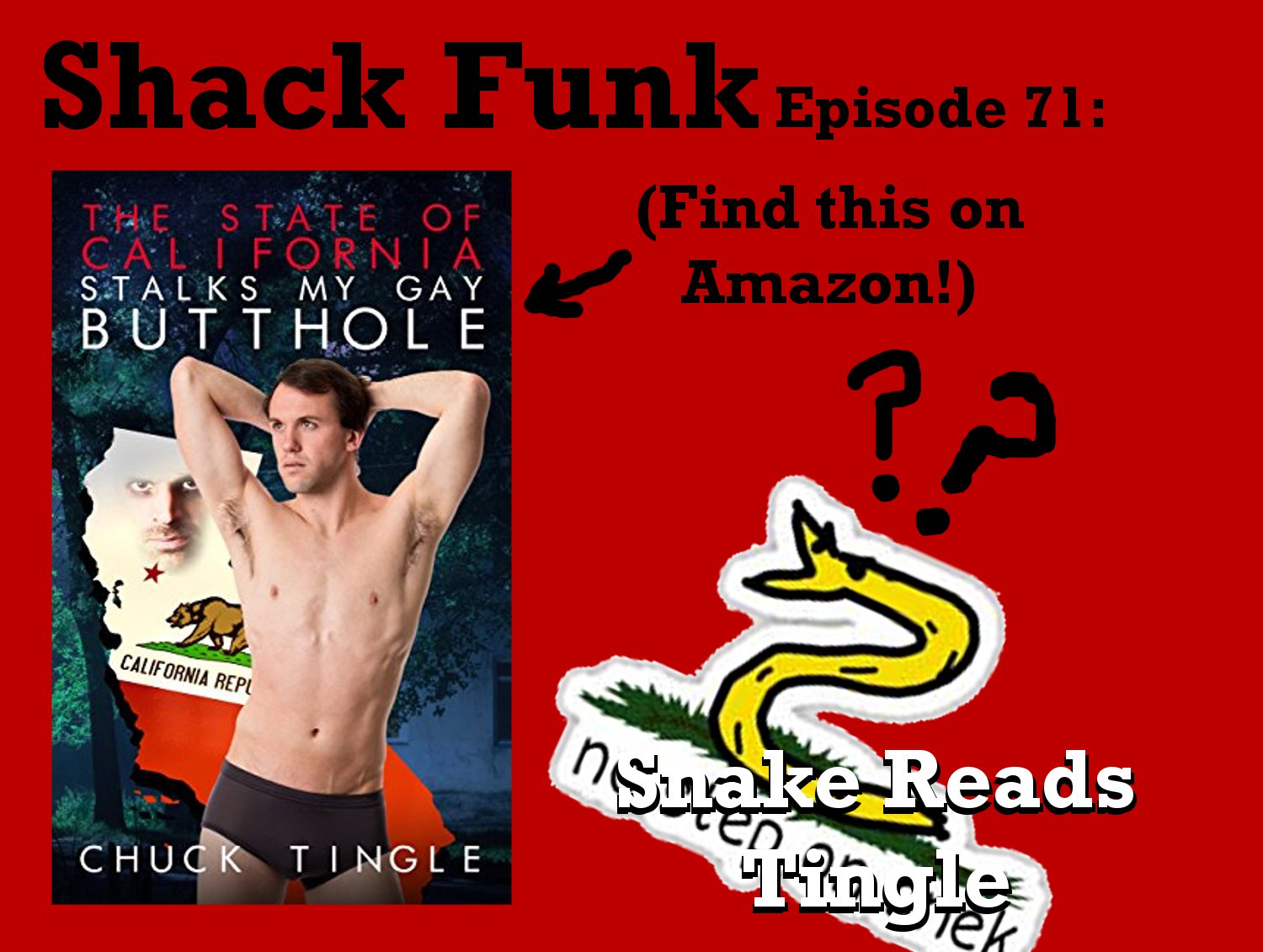 Shack Funk 71 - Snake Reads Tingle
