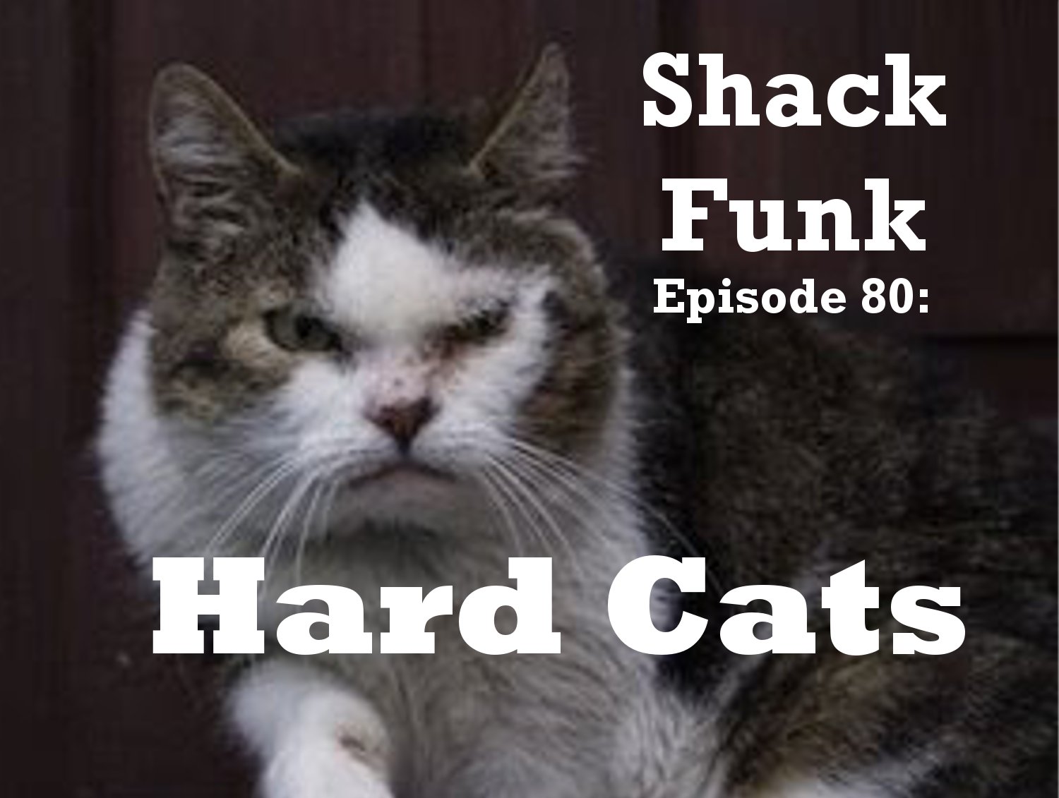 Shack Funk 80 - Hard Cats