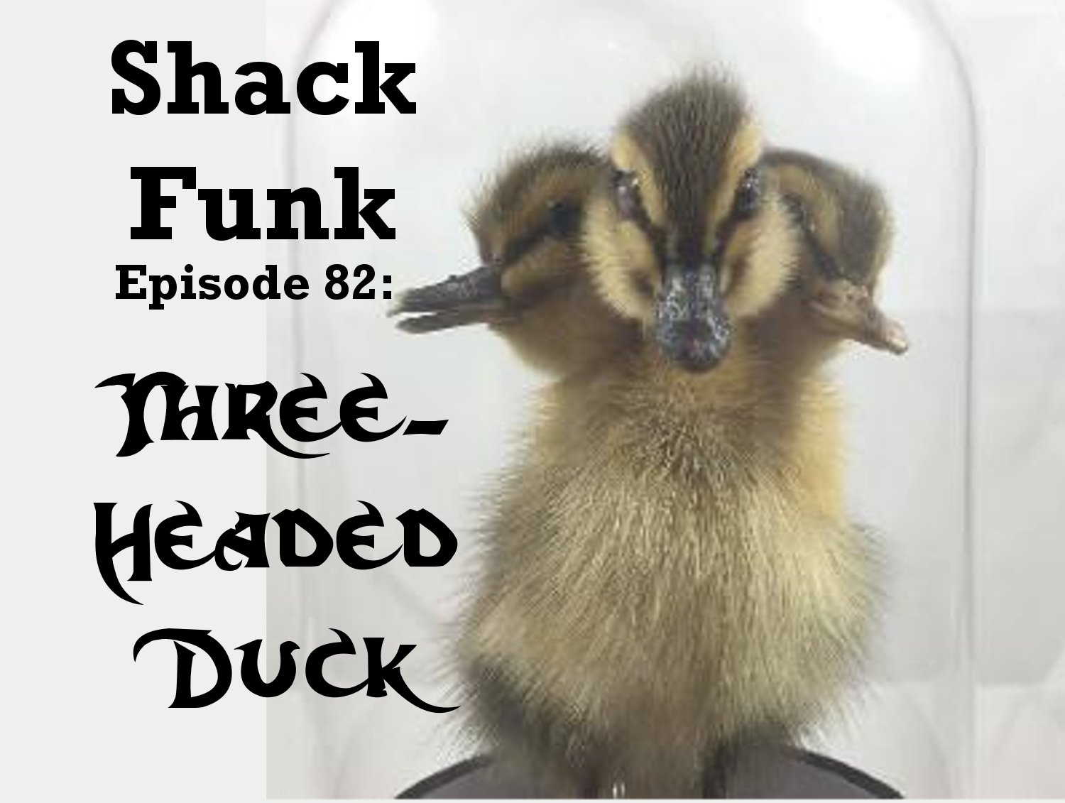 Shack Funk 82 - Three-Headed Duck