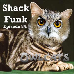 Shack Funk 84 - Owlcats