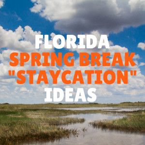 Florida Spring Break ”Staycation” Ideas