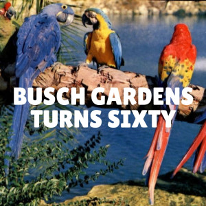 Busch Gardens turns 60...so it’s Busch Gardens trivia time!