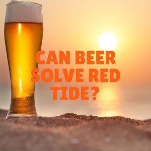 Can beer solve Red Tide? (and other pressing questions)