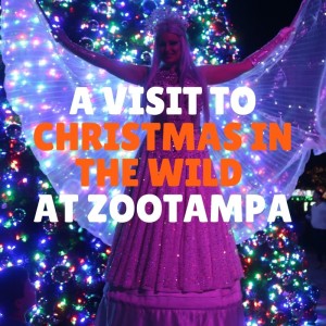 A visit to Christmas in the Wild at ZooTampa