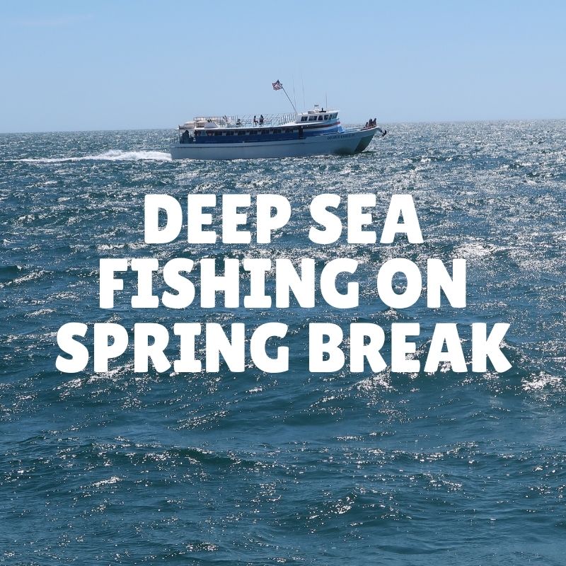 Deep Sea Fishing on Spring Break