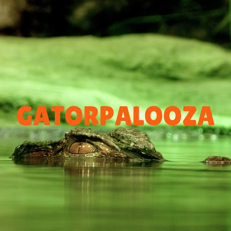 Gatorpalooza - podcast episode cover