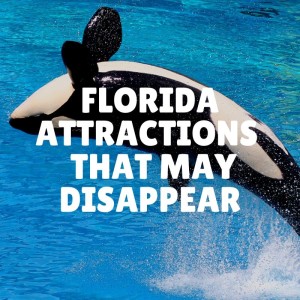 Florida Theme Park Attractions that may soon disappear