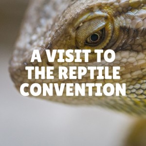 A Visit to the Reptile Convention