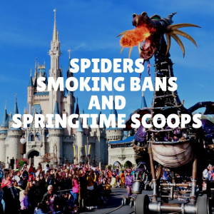 Spiders, Smoking Bans, and Springtime Scoops