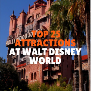 Our Top 25 Walt Disney World Attractions