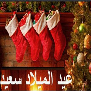 TNFro is Reading...12 Podcasts of Christmas Celebration, Coptic Christmas Merry Christmas Eid Milad Majid(عيد ميلاد مجيد)