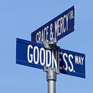 A community for the homeless