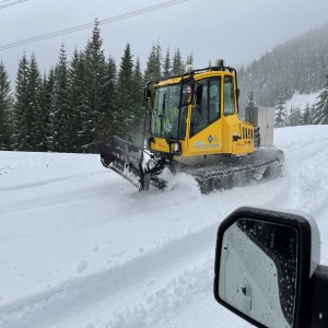 A Snowy Stampede and Another Lockdown