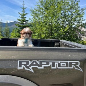 The Ranger Raptor Arrives!