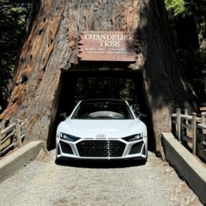 From Mendocino to Happy Camp - The Best Roads You've Never Driven