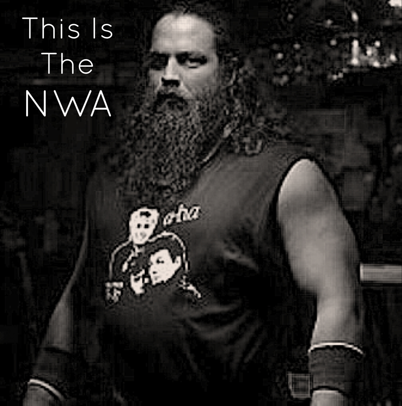 This Is Pro Wrestling
