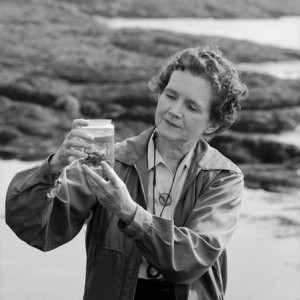 Episode 037 - Rachel Carson | Marine Biologist & Environmentalist