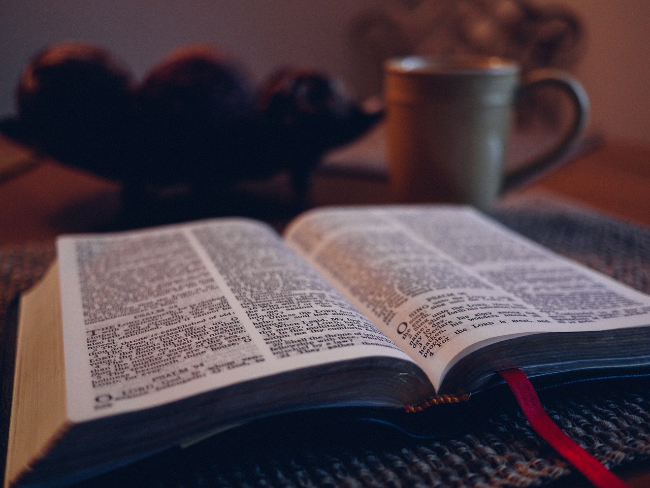 One way to read the Bible