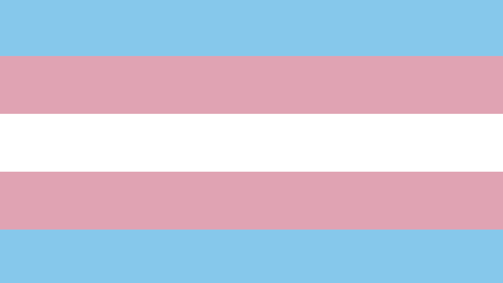 Trans Day of Visibility Teaser