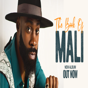 Mali Music Interview Part I