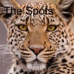 The Spots