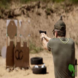A Deep Dive into Firearms Training