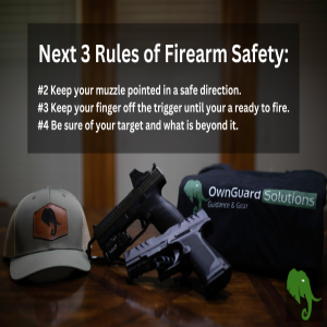 Mastering Gun Safety with Expert Insights, Part 2