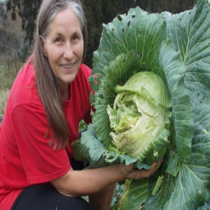 Marjory Wildcraft's Journey to Self-Sufficiency